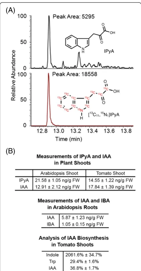 Figure 6 Examples of GC-MS results from typical plant extracts.(A) Chromatographic result from quantification of IPyA in 9.5 mg ofArabidopsis seedling tissue using GC-SRM-MS