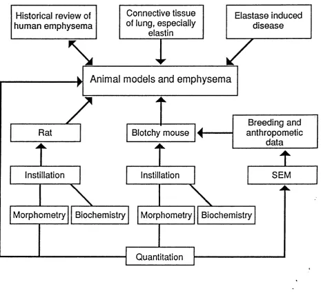 Figure 1.1 Flow chart to show interrelation of topics discussed in chapter 1 and experiments in chapters 2-4.