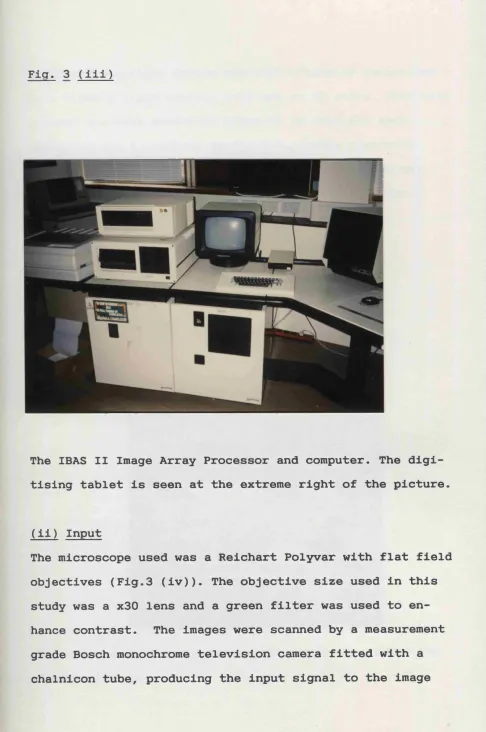Fig. 3 (iii)