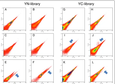 Figure 3 Screening controls for the YN-cDNA and YC-cDNA libraries. X-axis is YFP fluorescence and Y-axis is autofluorescense; arrows showand indicate positive mYFP-BiFC signals