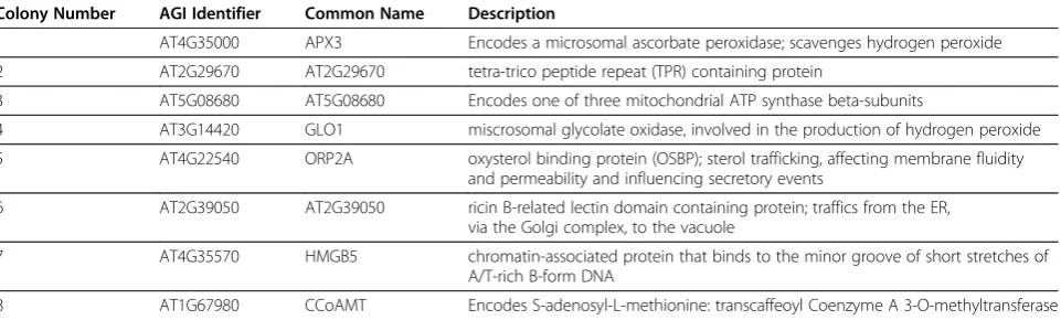 Table 1 Table of putatively CPK3 interacting proteins