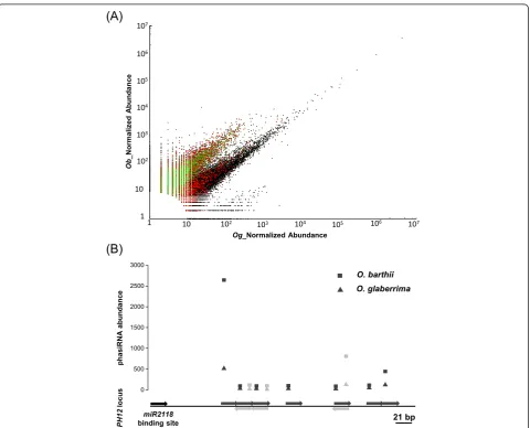 Fig. 1 Relative abundance of panicle-derived 21-nt small RNAs fromminus strand respectively)