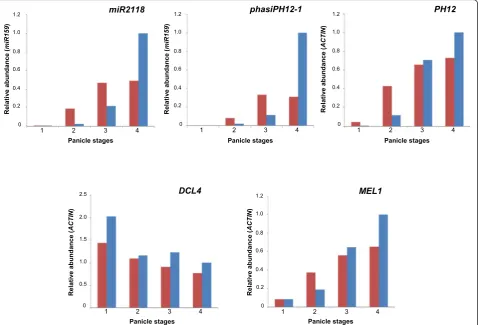 Fig. 3 Time course expression analysis of small RNAs and related-regulators during panicle development