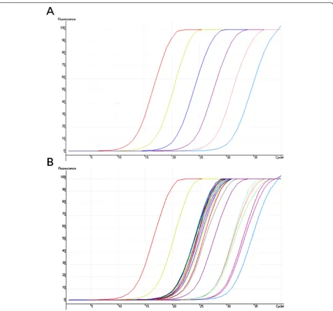 Figure 2 Amplifications of bH2c transcript in floral samples. Petals of the common morning glory were taken 12 hours before floral openingon five consecutive days (n = 5) on the same plant (III6D)