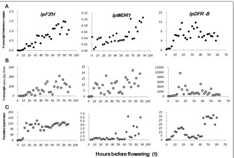 Figure 3 Expression patterns of target genes during corolla development of Ipomoea purpurea