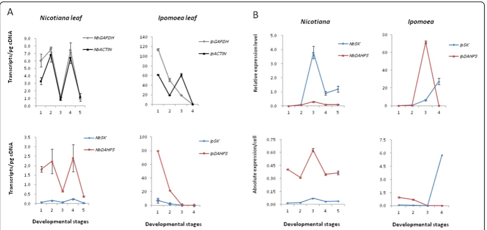 Table 5 CBA estimates of gene expression levels(transcript copies/pg cDNA) in the whole leaf tissues