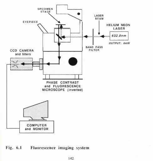 Fig. 6.1 