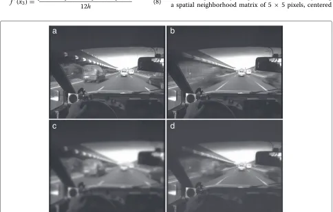 Figure 1 Image smoothing in three dimensions: t, x, and y. (a) Original image. (b) Smoothing in t