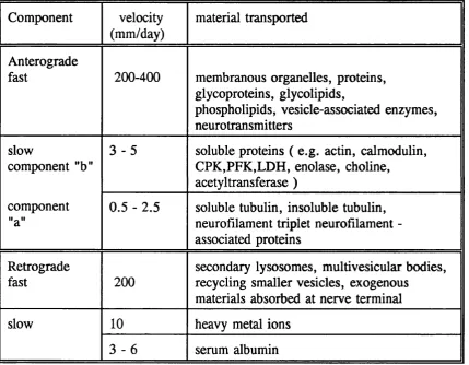 Table I.l. Different forms of axonal transport (Modified from Tomlinson (1988)).