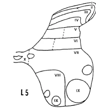 Fig. 1.2 