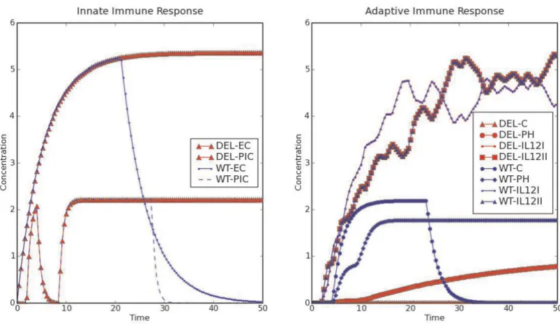 Figure 3The time course of (a) innate and (b) adaptive immune response to BThe time course of (a) innate and (b) adaptive immune response to B