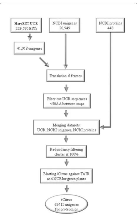 Figure 1 iCitrus database. Three major sources were used increating iCitrus dataset: UC Riverside HarvEST:citrus (C46 assembly),NCBI/citrus/unigenes and NCBI/citrus/proteins (see text)