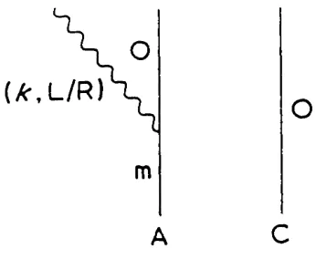 Fig. 1. First order graph for luminescence,