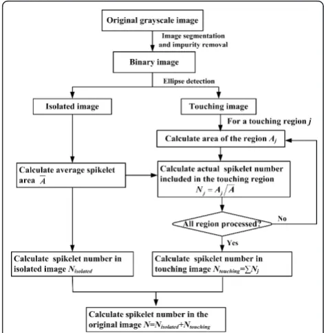 Figure 12 Typical grayscale images for (a) a total-spikeletimage and (b) a filled- spikelet image.