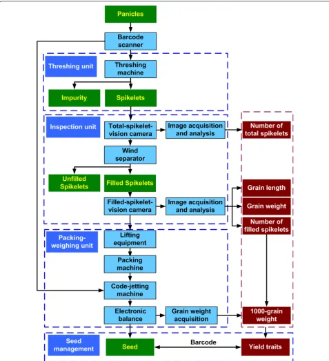Figure 1 Scheme of the SEA facility. Panicles were threshed by the threshing unit, and spikelets were transferred to the inspection unit