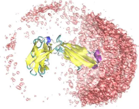 Figure 3Graphical analysisGraphical analysis. Lysozyme interacting with a fab-fragment – a simulation containing more than 340 amino acid residues as well as salt particles