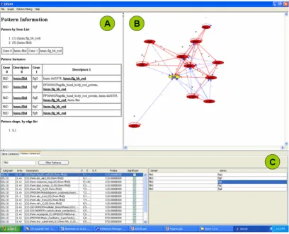 Figure 4Pattern-centered screen shot of BISONPattern-centered screen shot of BISON. Panel A, Pattern Information page; Panel B, Network Visualization page; Panel C, Nav-igation page.