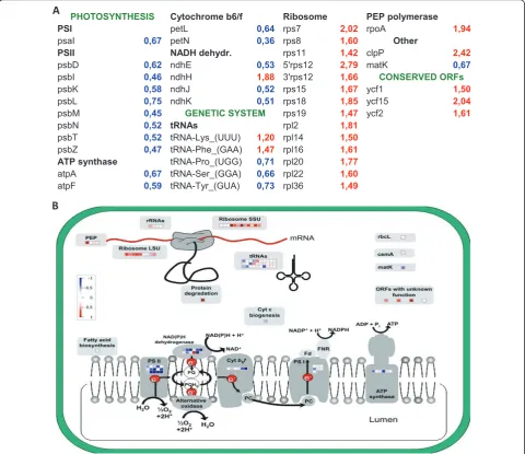 Figure 3 Comparative analysis of plastid transcriptomes in cucumber. Gene expression fold change in flowers is presented relative toexpression level in leaves