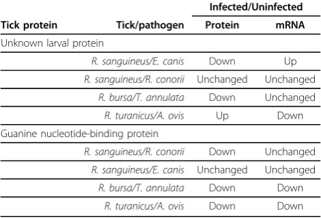 Figure 5 mRNA levels of genes coding for selected differentially expressed proteinssanguineus/E