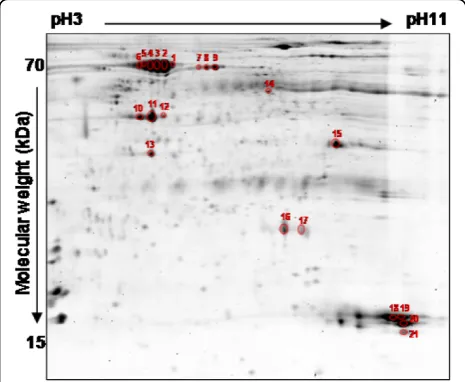 Table 2 Summary of differentially expressed proteins in the comparative analysis of Rhipicephalus spp