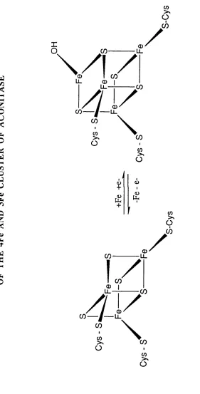 FIGURE 4- u