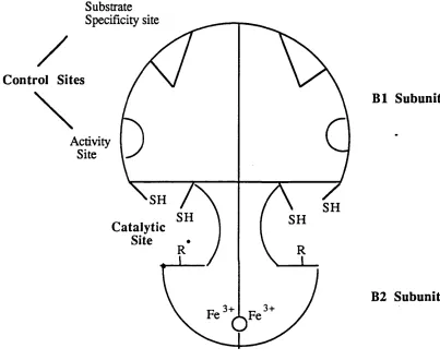 FIGURE 5: SCHEMATIC REPRESENTATION OF