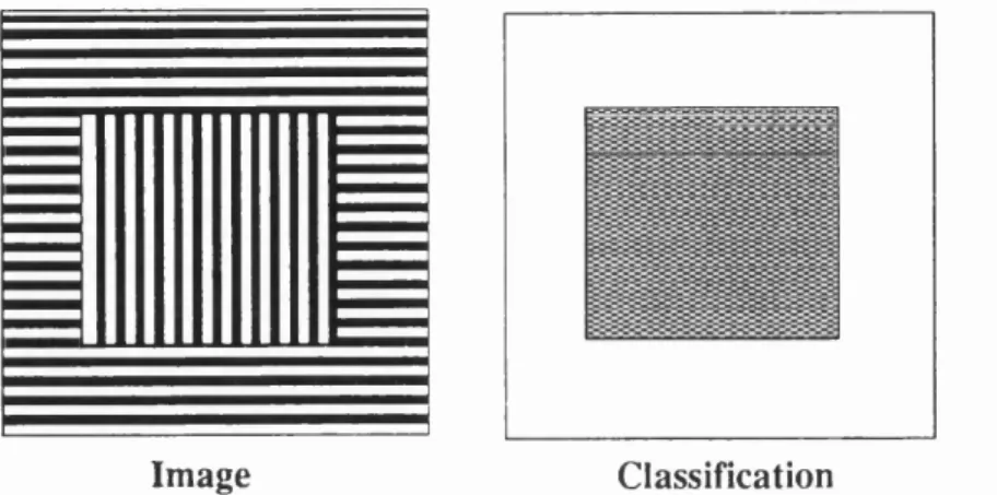 Figure  2.5:  H o rizontal/vertical  te x tu re   discrim ination.