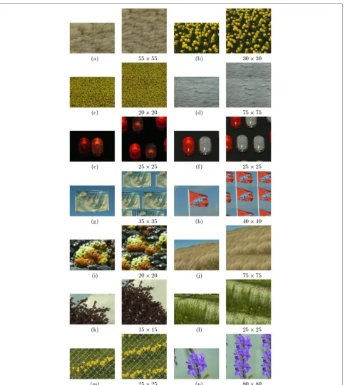 Figure 4 Results of the synthesis in spatial domain. (a to n) Frames taken from the original sequence and the corresponding synthesis results.The block size used for obtaining such results is shown for each sequence.