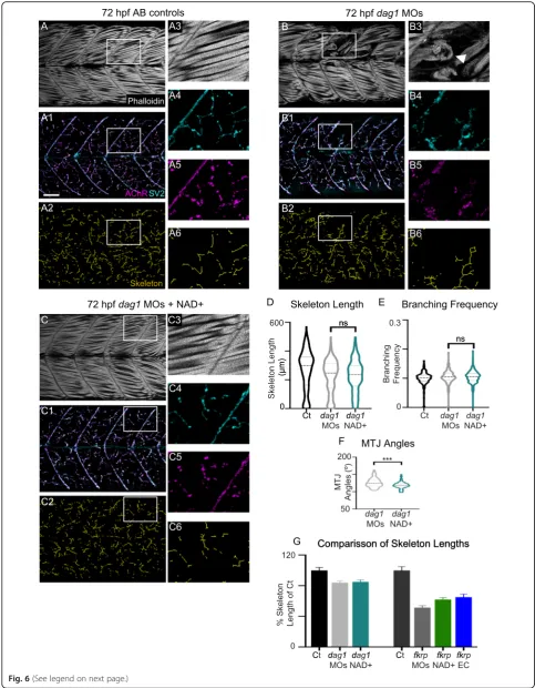 Fig. 6 (See legend on next page.)