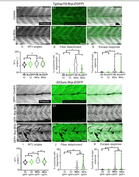 Fig. 8 (See legend on next page.)