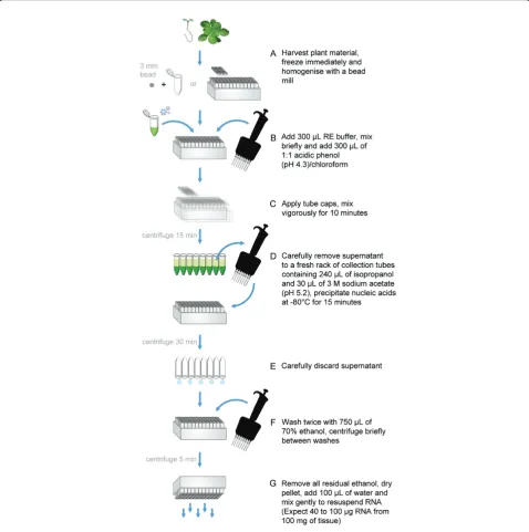 Figure 2 Summary bench protocol for HTP96 RNA extractionthe supernatant by inverting the collection tube rack
