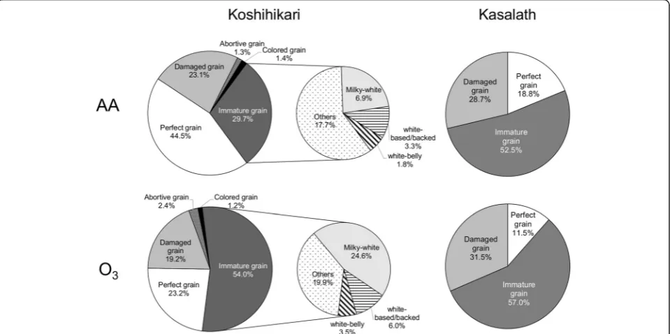 Table 1 Harvest parameters of two rice cultivars grown under AA and O3