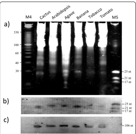Table 2 Concentrations* of LWM RNA samples obtained using the LiCl method with different modifications