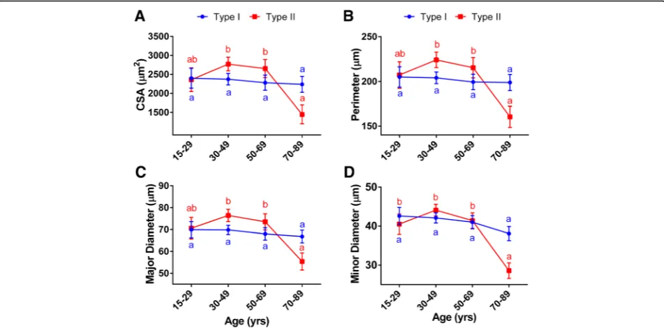 Fig. 3 Type-specific fiber changes in morphometry by age. Deltoid muscle analysis of type-specific fiber morphometric parametersacross different age groups