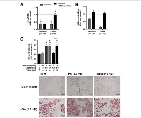 Fig. 3 NMN was able to restore reduced NAD concentrations but not cell viability after stimulation with palmitate