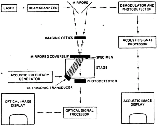 Fig.  2.11  The  scanning  laser  acoustic microscope