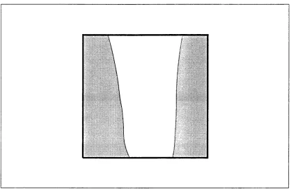 Figure 3.7 A typical image from a silhouetting method for a leg.