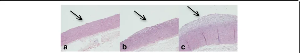 Fig. 2 Representative thoracic aortic sections of rabbit groups a ND, b CD, c CD + Col