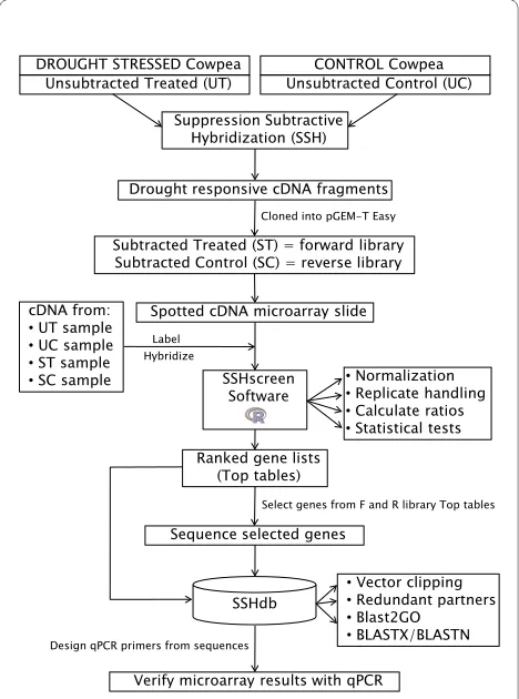 Figure 1 Schematic representation of the flow of data through the SSHscreen-SSHdb pipeline