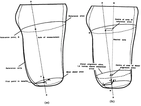 Figure 2.5 - Axes used during software alignment of measured shapes.