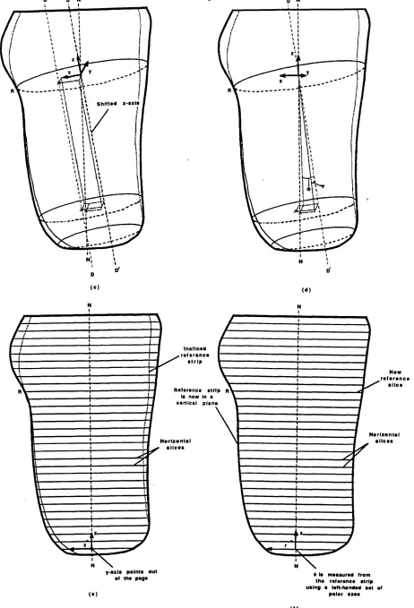 Figure 2.5 (continued) - Axes used during software alignment of prosthetic shapes.