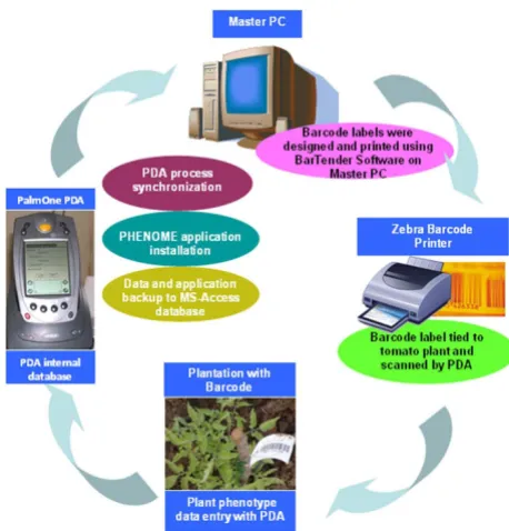 Figure 1PHENOME softwareThe cycle of plant phenotype data collection using PDA with The cycle of plant phenotype data collection using PDA with PHENOME software