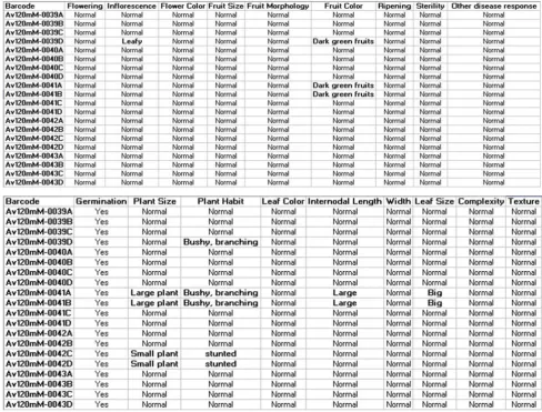 Figure 3The figure illustrates the representative output of phenotypic characters for few M2 plantsThe figure illustrates the representative output of phenotypic characters for few M2 plants