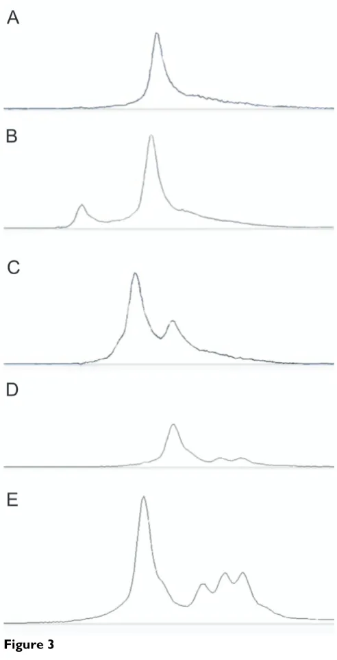 Figure 3Plus+™ molecules are intercalated between each annealedbase pair of the double stranded DNA molecule