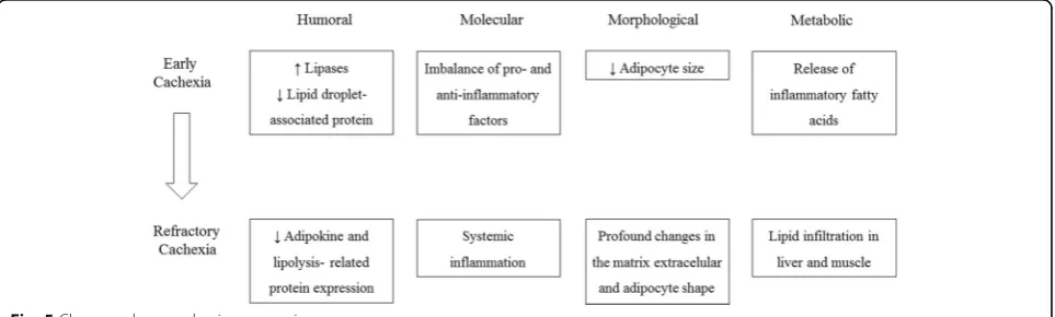 Fig. 5 Changes along cachexia progression