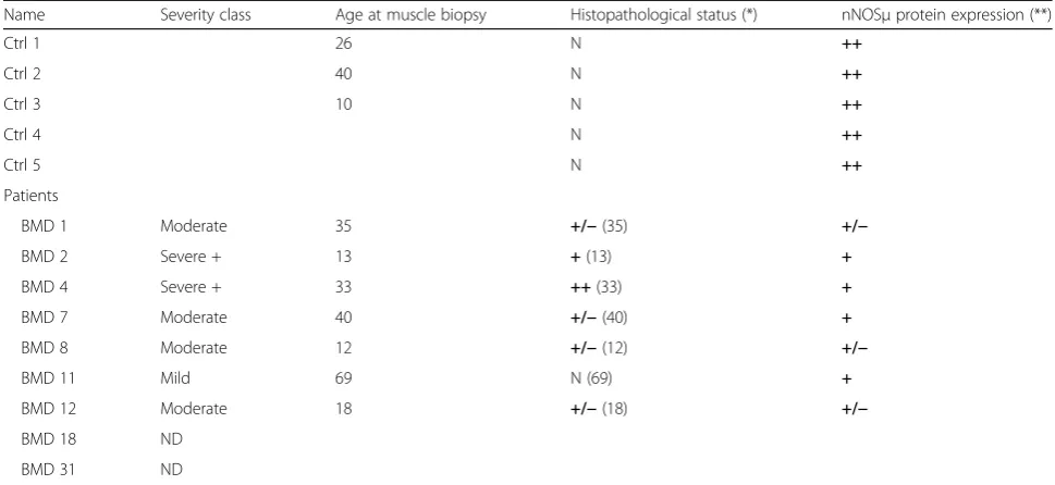 Table 1 Clinical and histopathological phenotypes compared with nNOSμ expression in BMDd45-55 patients