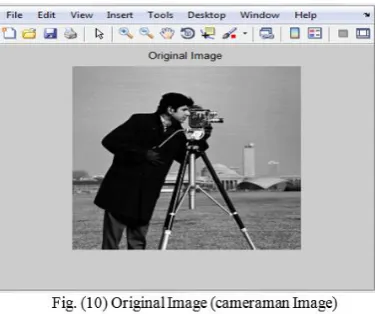 figure (12b). With this filter, the salt & pepper noise is almost completely filtered out and the final image 