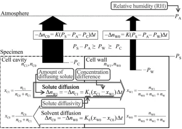 Fig. 2 Model of substance migrating in and around a sample duringan inﬁnitesimal time, Dt