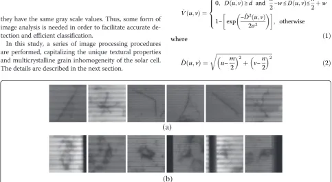 Figure 2 Characteristics of micro-crack pixels. (a) Close-up viewof the region containing the micro-crack