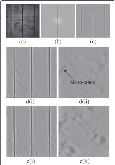 Figure 4 Pre-processing by filtering in the frequency domain.transformation.w(a) Original EL image